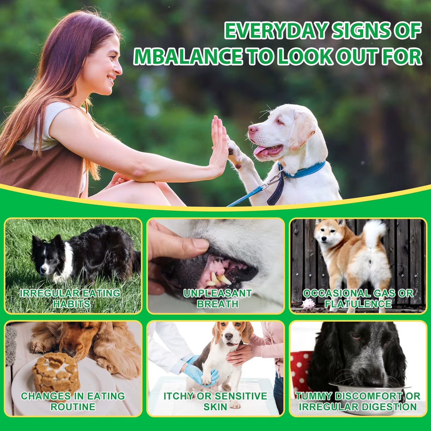 Oimmal 30 Soft Chews Digestive & Gut Health Support Natural Pet Food Supplement Dog Treats Snacks Probiotic Soft Chews for Pet