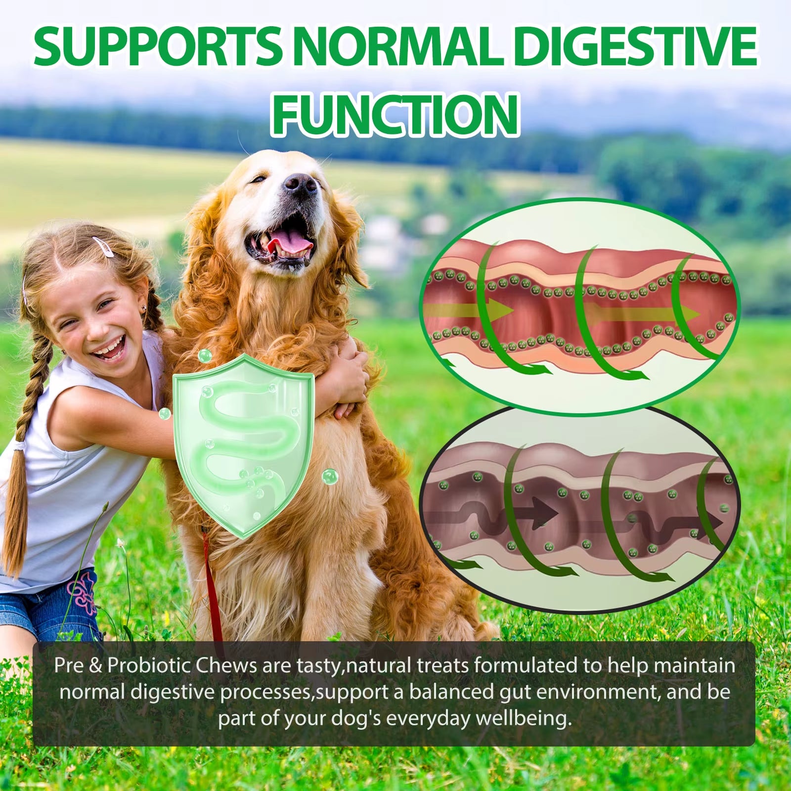 Oimmal 30 Soft Chews Digestive & Gut Health Support Natural Pet Food Supplement Dog Treats Snacks Probiotic Soft Chews for Pet