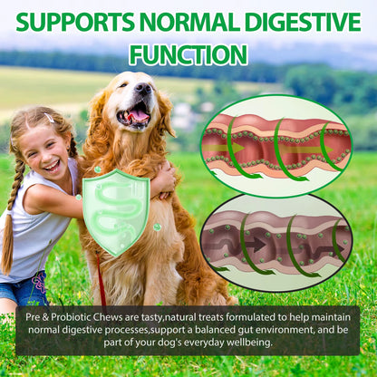 Oimmal 30 Soft Chews Digestive & Gut Health Support Natural Pet Food Supplement Dog Treats Snacks Probiotic Soft Chews for Pet