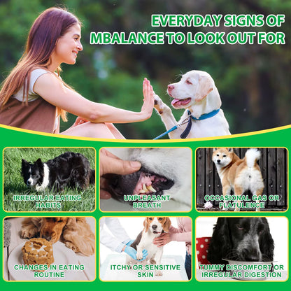 Oimmal 30 Soft Chews Digestive & Gut Health Support Natural Pet Food Supplement Dog Treats Snacks Probiotic Soft Chews for Pet
