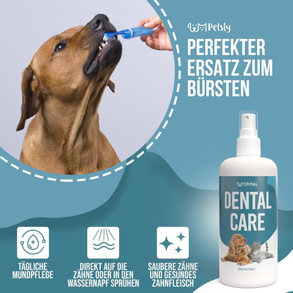 Petsly® Dentalspray Für Hunde & Katzen -250 Ml- Frische Minze - Kein Spülen Oder Bürsten - Gegen Zahnstein Und Schlechten Atem - Zahnpflege Hund & Katze Mit 3-Fach Wirkung