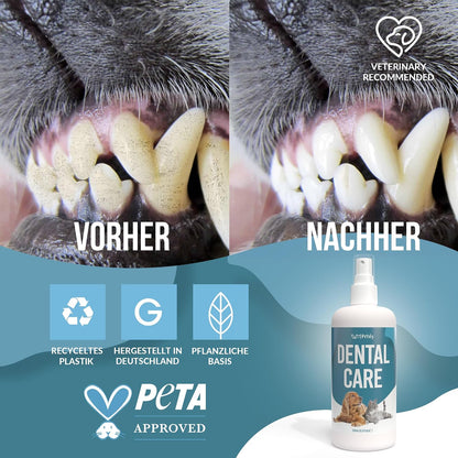 Petsly® Dentalspray Für Hunde & Katzen -250 Ml- Frische Minze - Kein Spülen Oder Bürsten - Gegen Zahnstein Und Schlechten Atem - Zahnpflege Hund & Katze Mit 3-Fach Wirkung