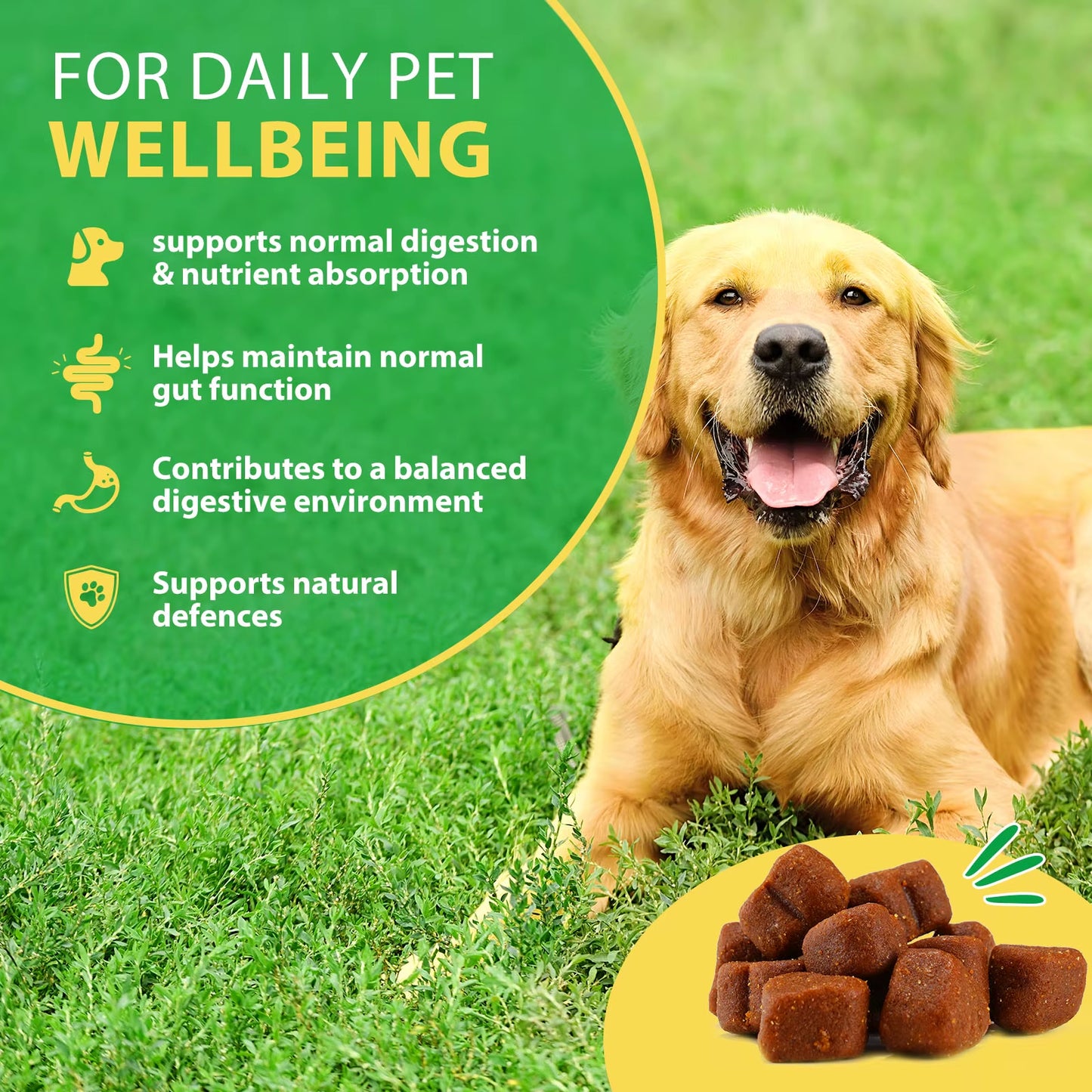 Oimmal 30 Soft Chews Digestive & Gut Health Support Natural Pet Food Supplement Dog Treats Snacks Probiotic Soft Chews for Pet