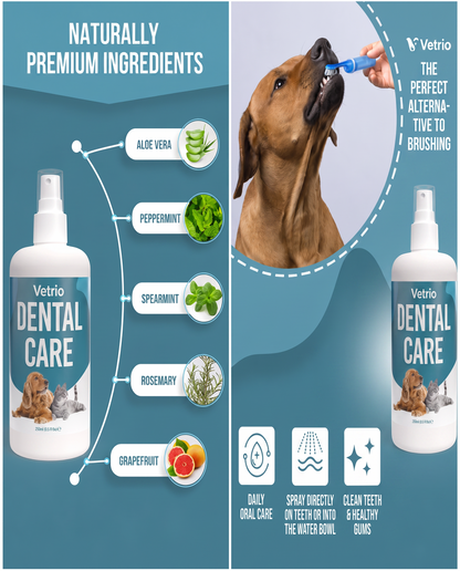 BrightBite™ Fresh Breath & Daily Dental Care for Dogs & Cats